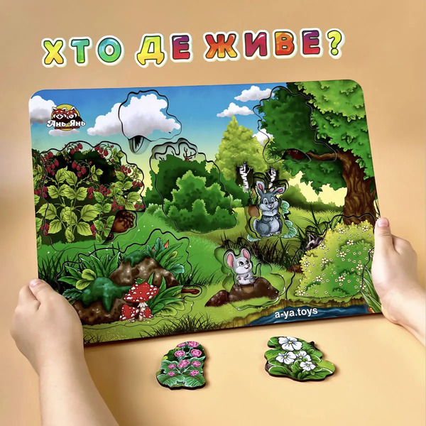 dceed1da-6541-11ef-9500-50ebf67638ac